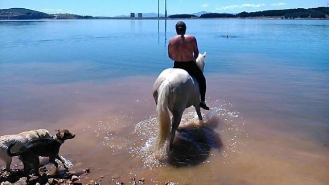 Caballo en el agua